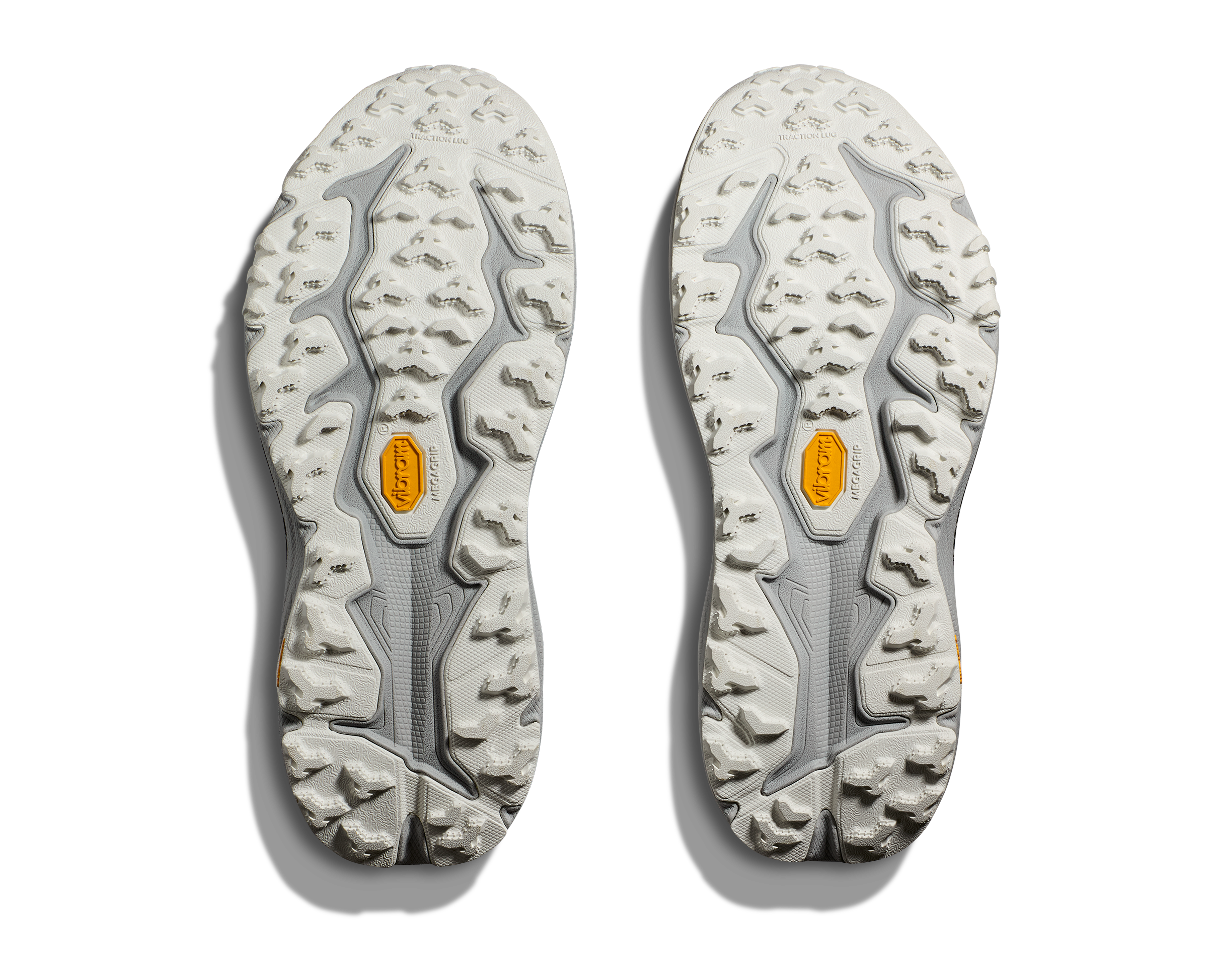 Hoka Women's Speedgoat 6 (SLTG - Satellite Grey/Stardust)