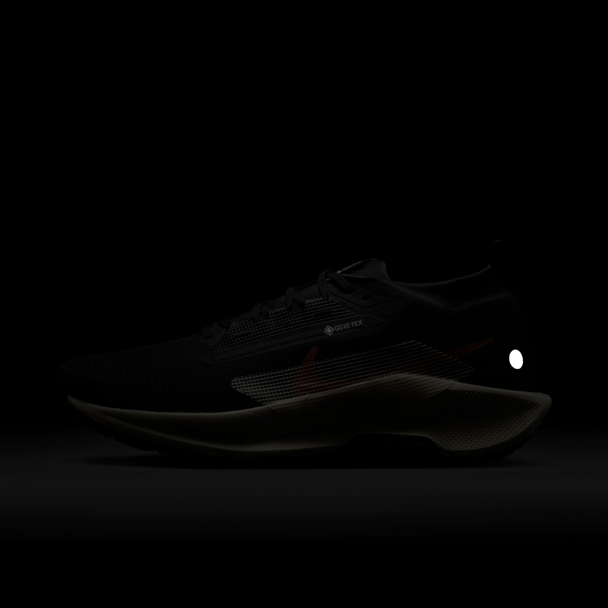 Nike Men’s React Pegasus Trail 5 GORE-TEX (007 - Off Noir/Pale Ivory-Black-Monarch)