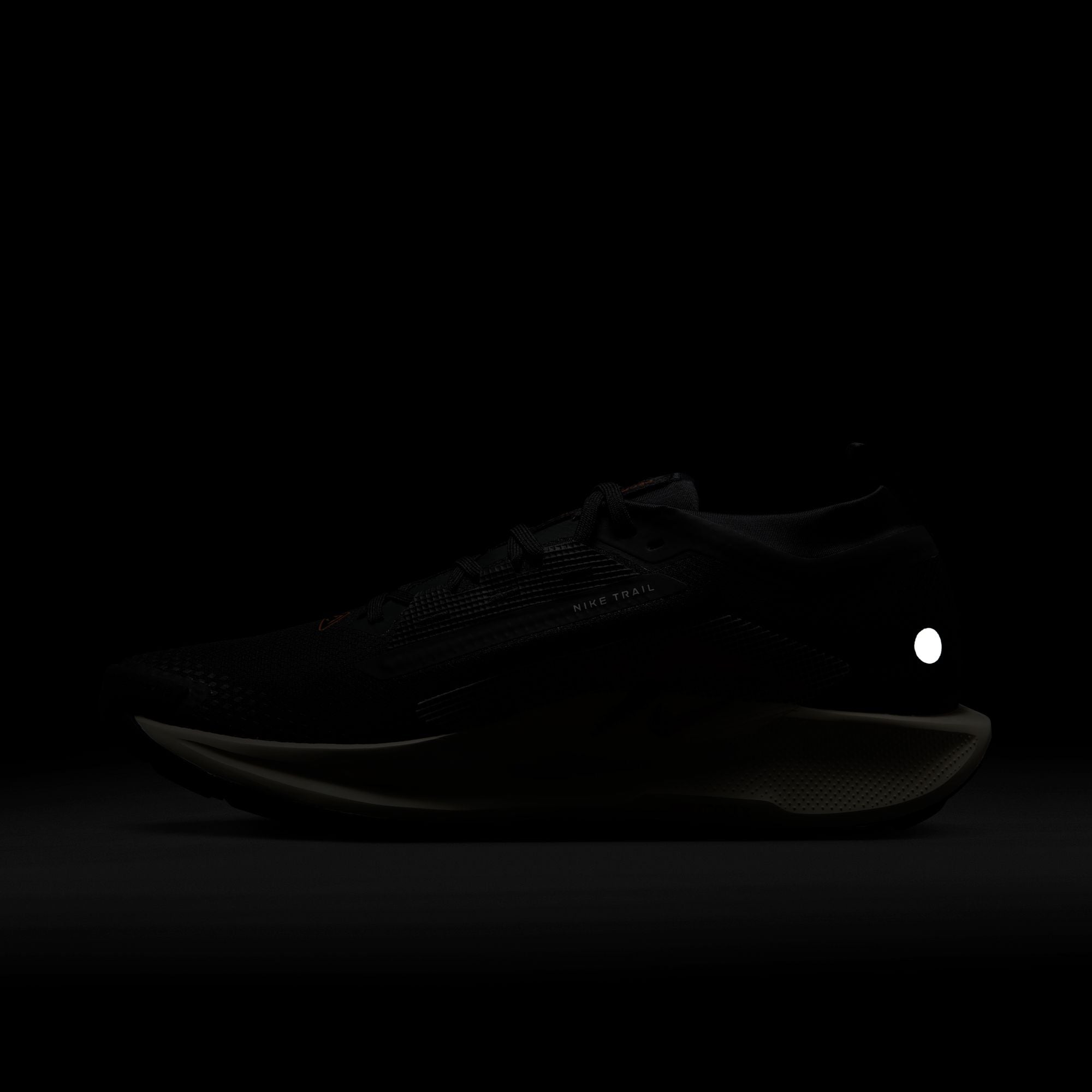 Nike Men’s React Pegasus Trail 5 GORE-TEX (007 - Off Noir/Pale Ivory-Black-Monarch)