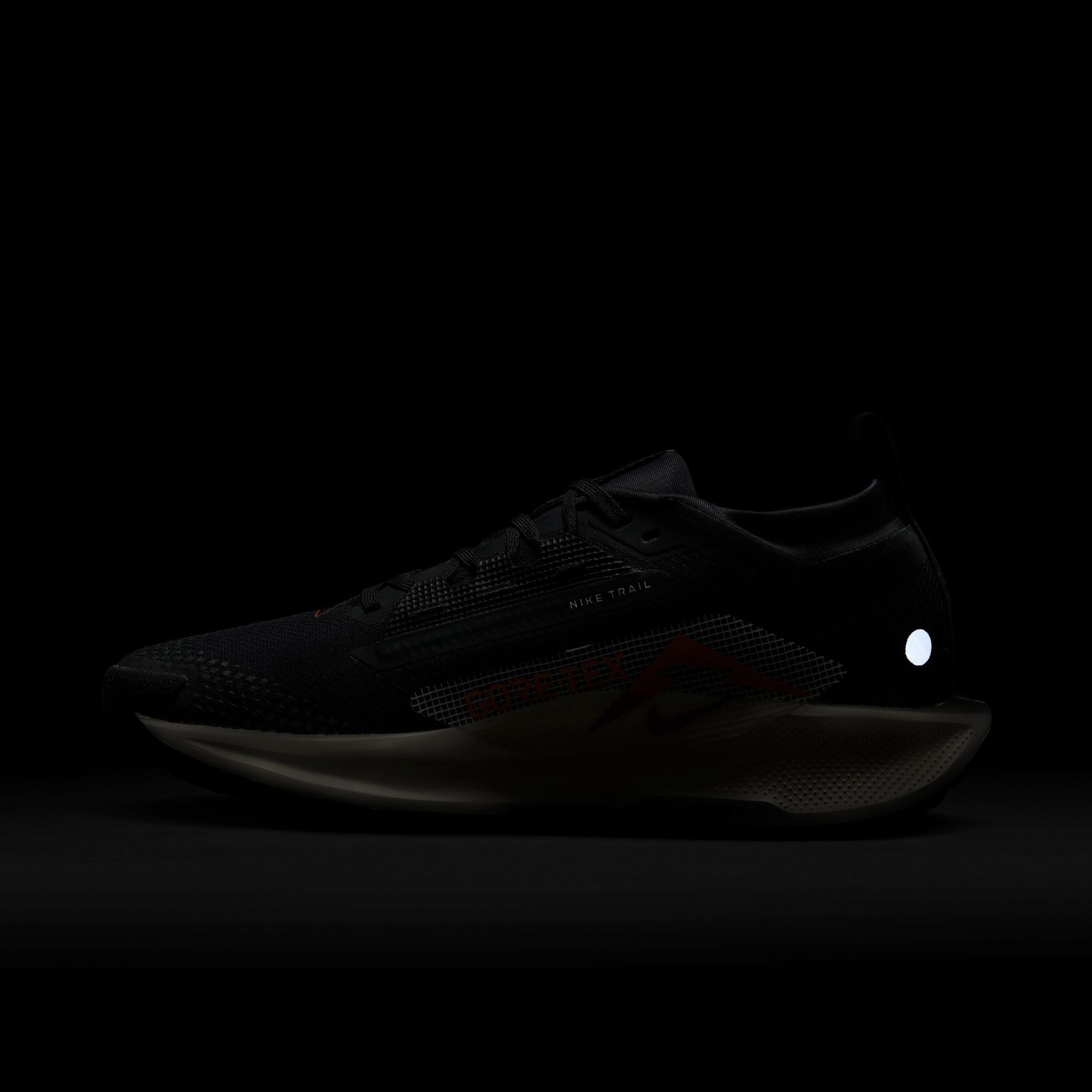 Nike Women’s React Pegasus Trail 5 GORE-TEX (005 - Off Noir/Pale Ivory-Black-Monarch)