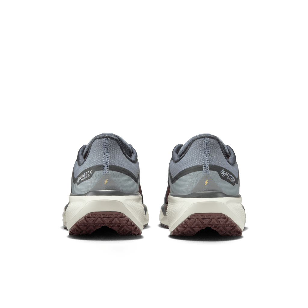 Nike Men's Pegasus 41 GORE-TEX (003 - Light Pumice/Ashen Slate-Burgundy Crush)