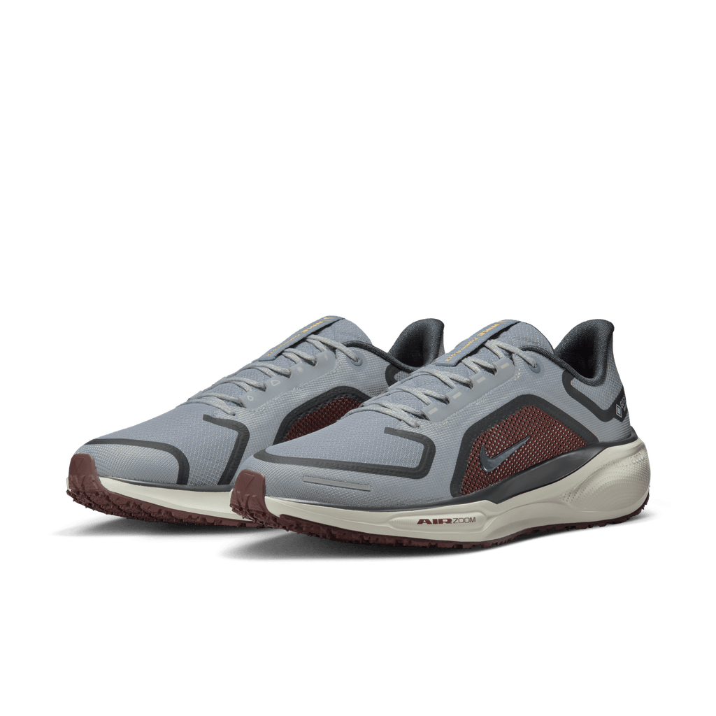 Nike Men's Pegasus 41 GORE-TEX (003 - Light Pumice/Ashen Slate-Burgundy Crush)
