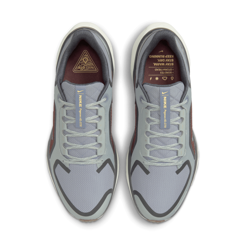 Nike Men's Pegasus 41 GORE-TEX (003 - Light Pumice/Ashen Slate-Burgundy Crush)