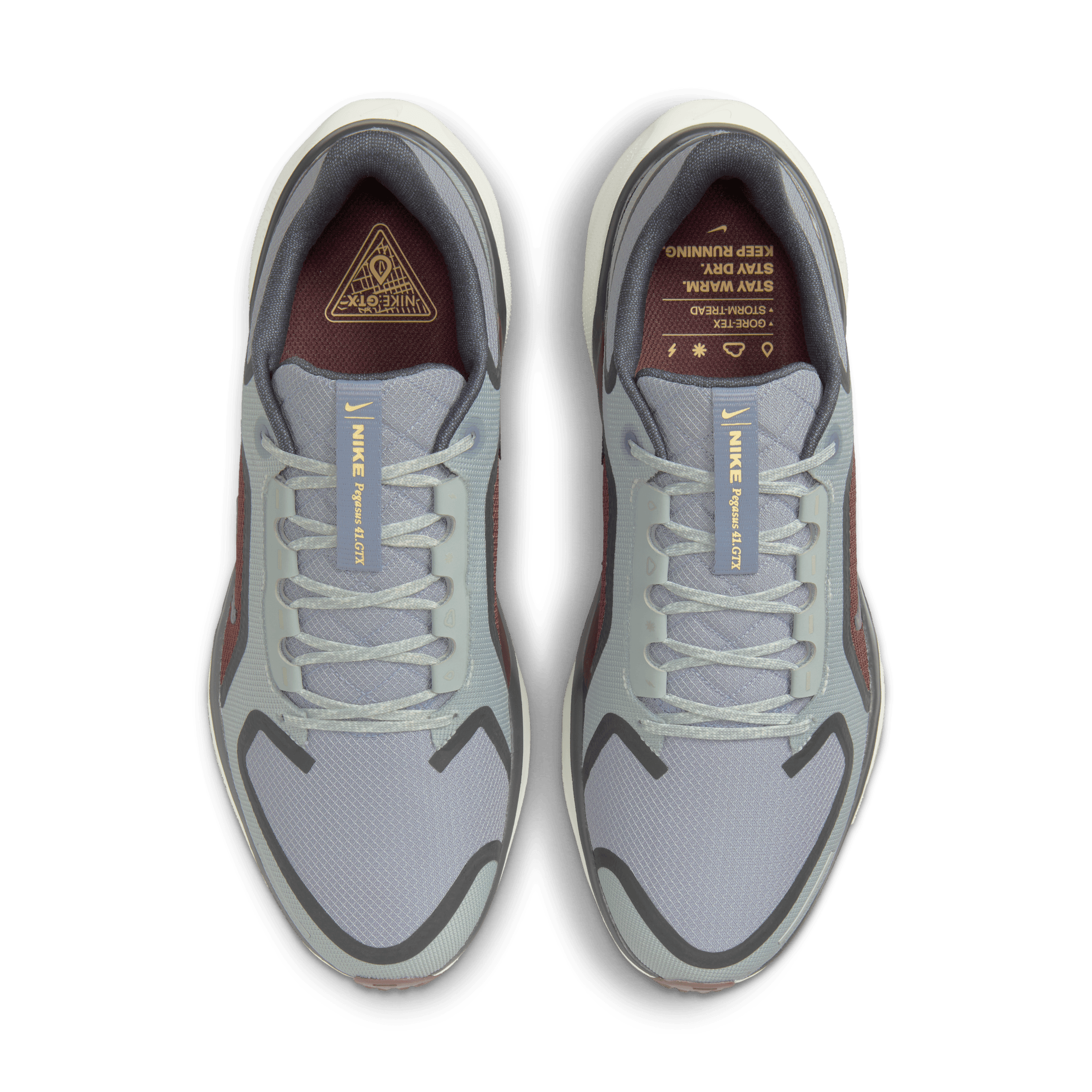 Nike Men's Pegasus 41 GORE-TEX (003 - Light Pumice/Ashen Slate-Burgundy Crush)