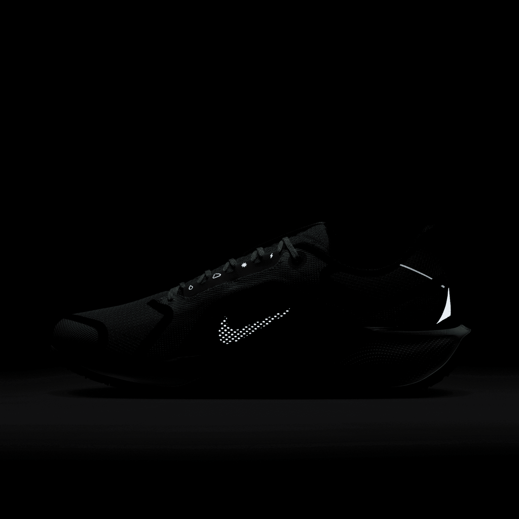 Nike Men's Pegasus 41 GORE-TEX (003 - Light Pumice/Ashen Slate-Burgundy Crush)