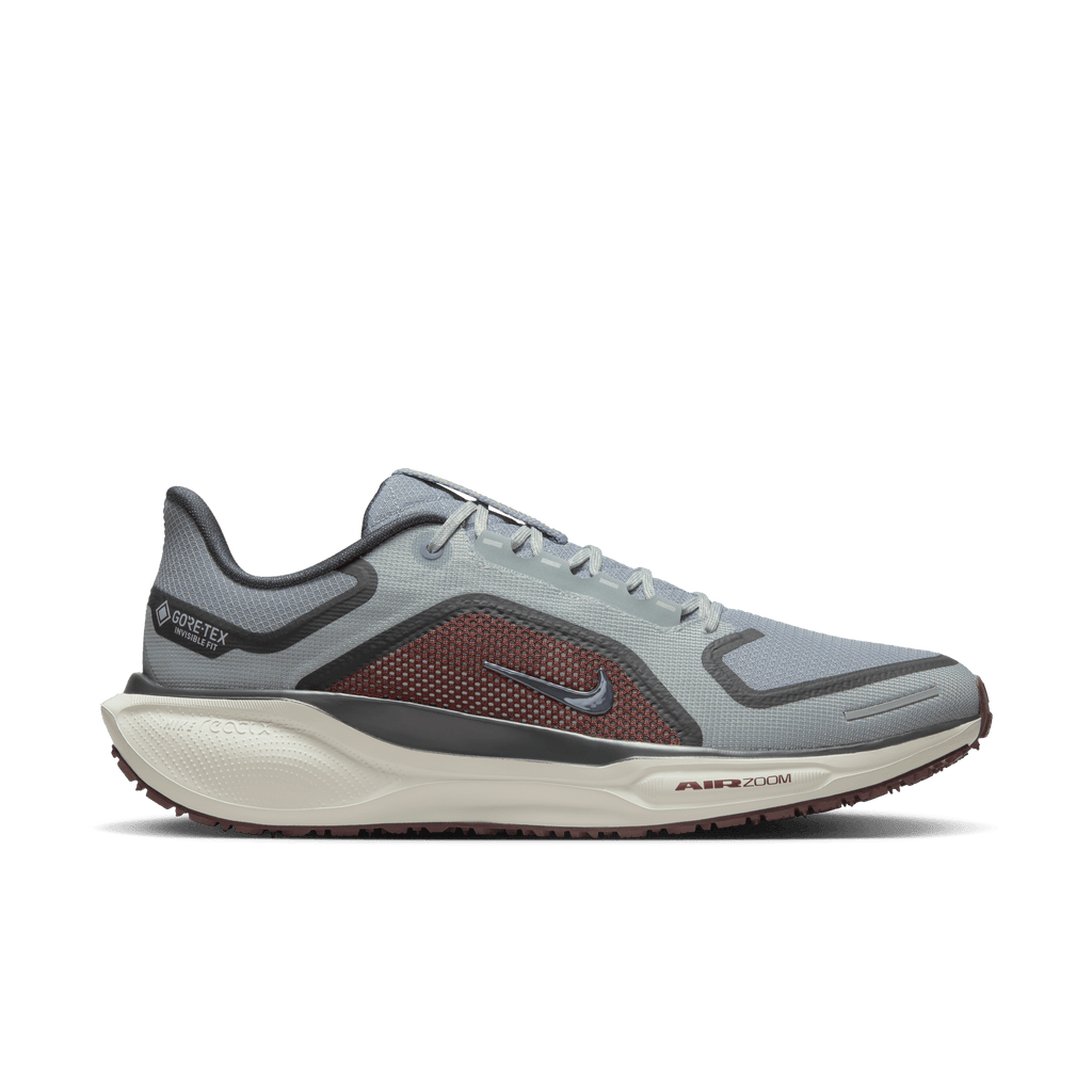 Nike Men's Pegasus 41 GORE-TEX (003 - Light Pumice/Ashen Slate-Burgundy Crush)