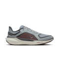 Nike Men's Pegasus 41 GORE-TEX (003 - Light Pumice/Ashen Slate-Burgundy Crush)