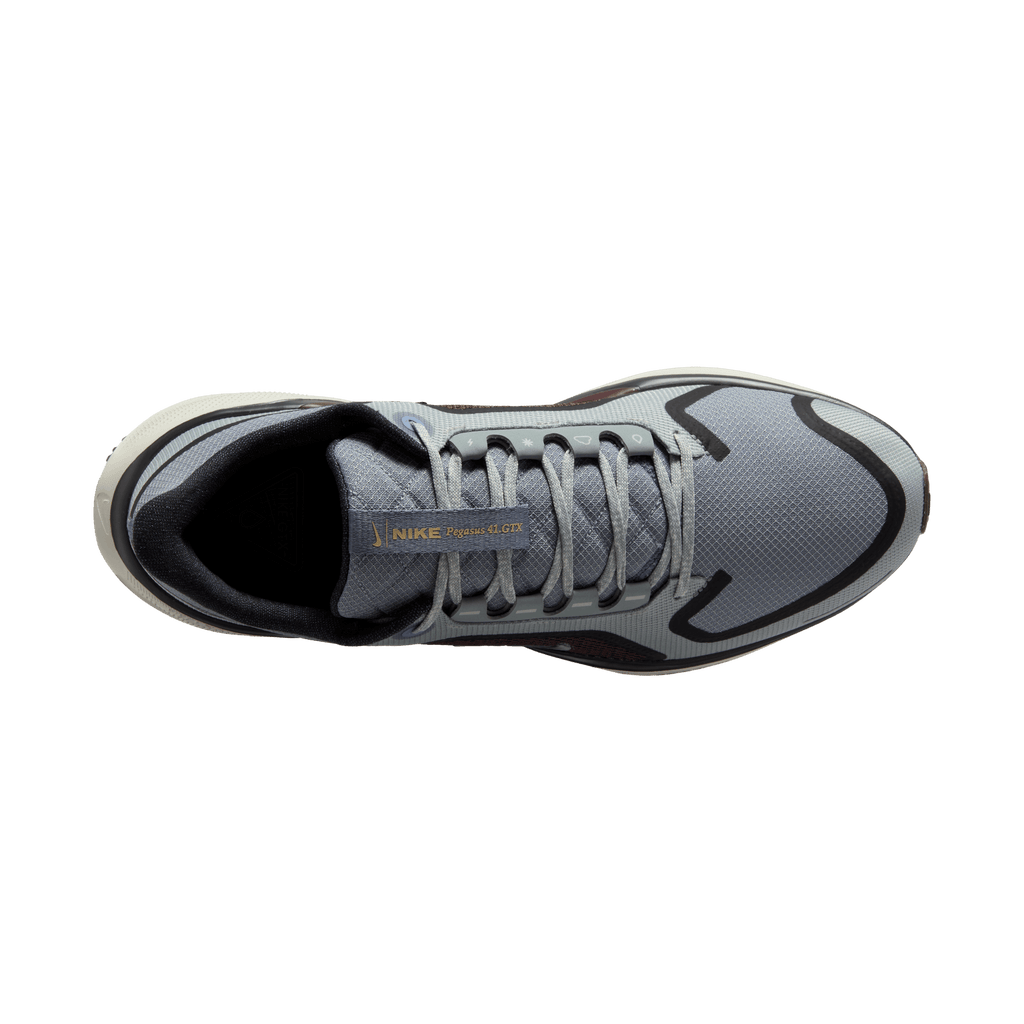 Nike Men's Pegasus 41 GORE-TEX (003 - Light Pumice/Ashen Slate-Burgundy Crush)
