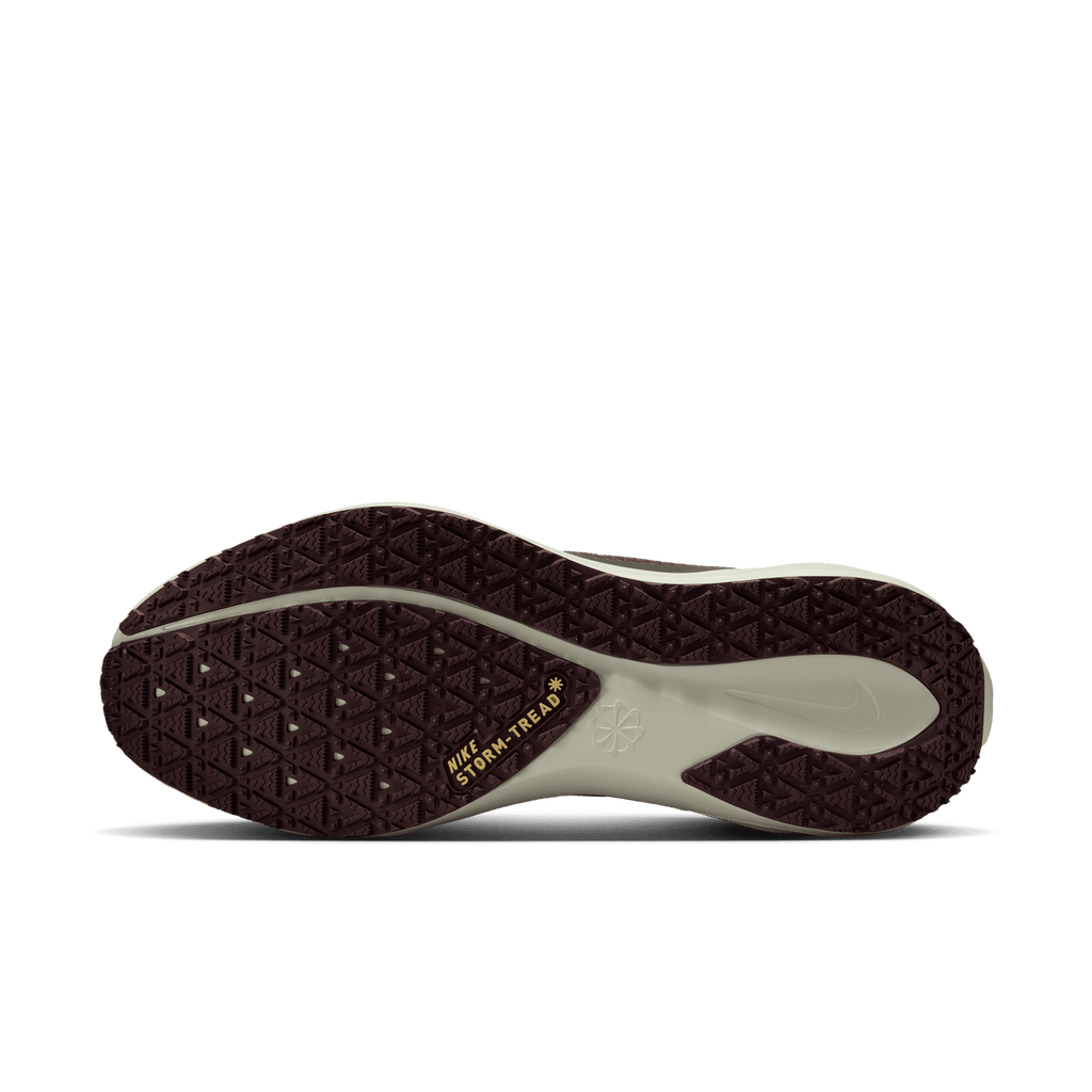 Nike Men's Pegasus 41 GORE-TEX (003 - Light Pumice/Ashen Slate-Burgundy Crush)