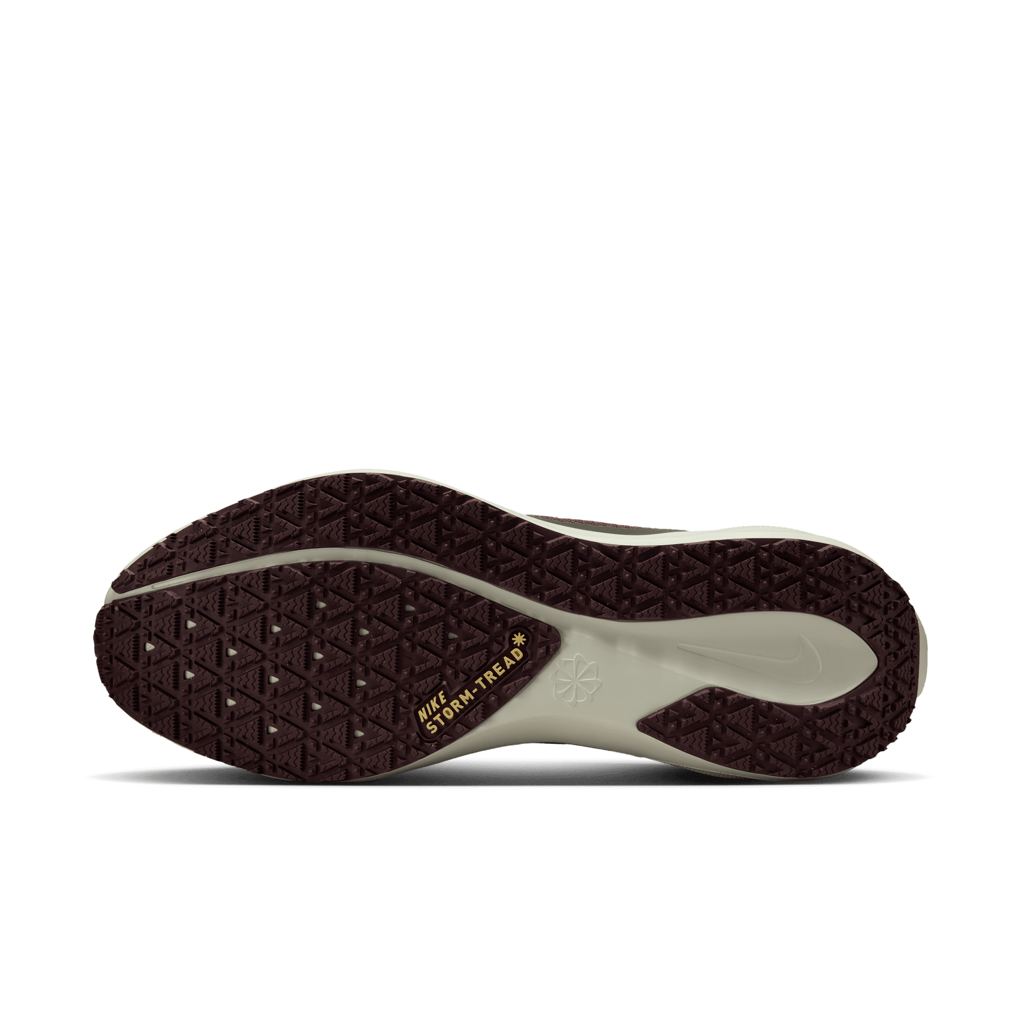 Nike Men's Pegasus 41 GORE-TEX (003 - Light Pumice/Ashen Slate-Burgundy Crush)