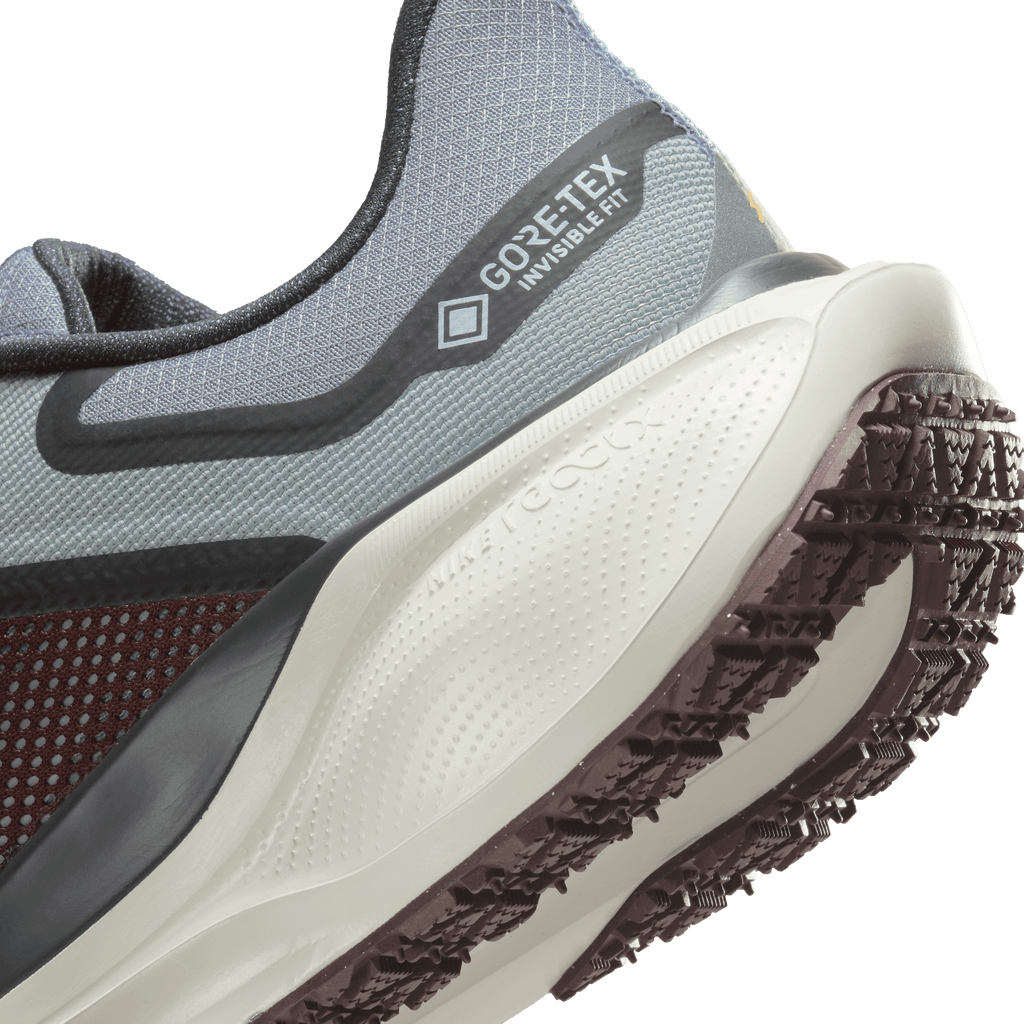 Nike Men's Pegasus 41 GORE-TEX (003 - Light Pumice/Ashen Slate-Burgundy Crush)
