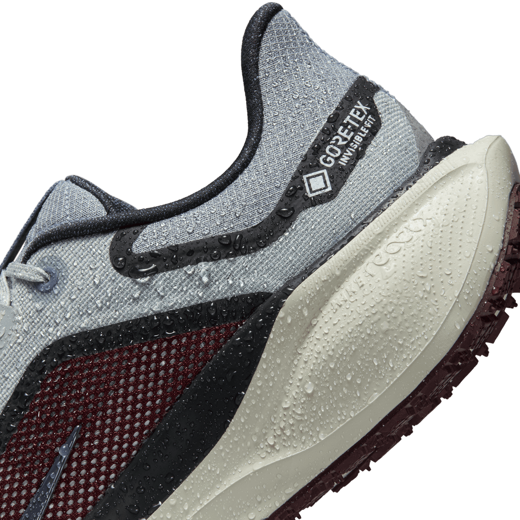 Nike Men's Pegasus 41 GORE-TEX (003 - Light Pumice/Ashen Slate-Burgundy Crush)