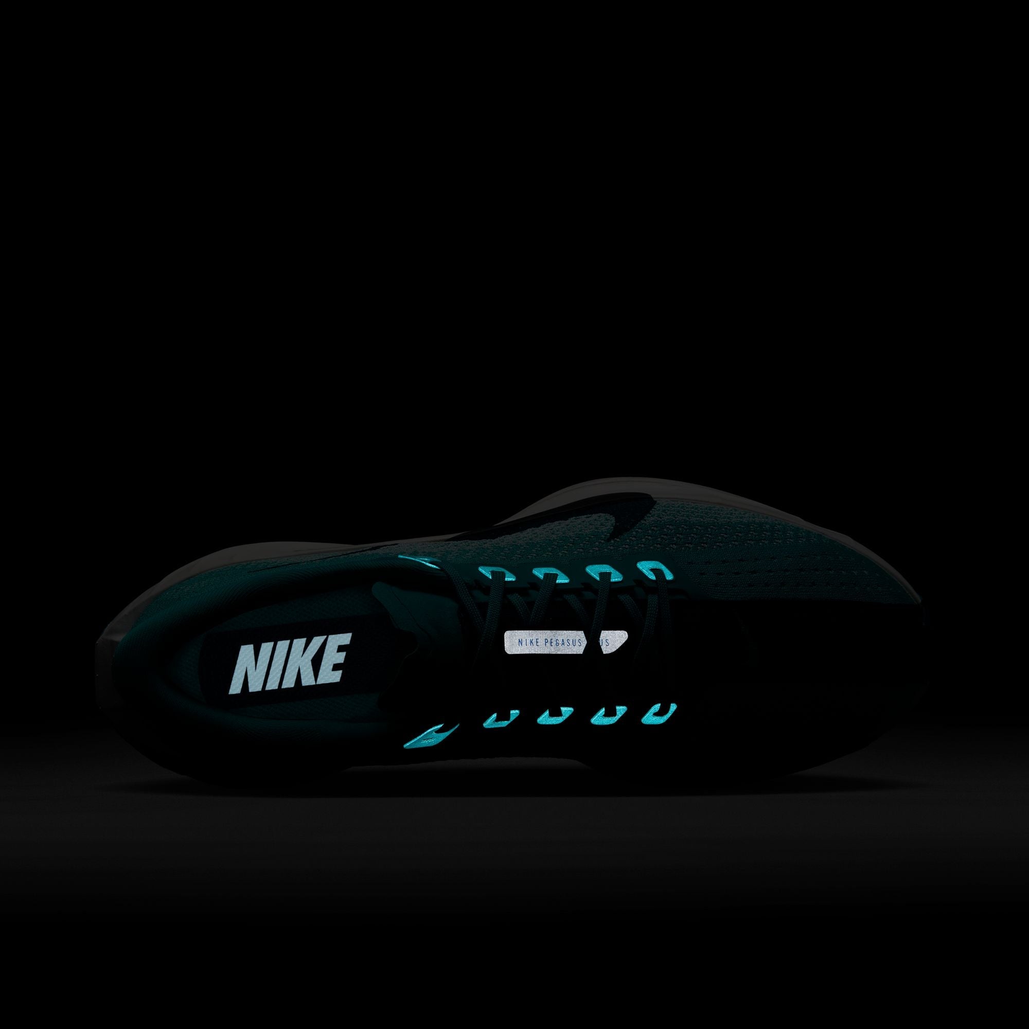 Nike Men’s Pegasus Plus (301 - Dusty Cactus/Blue Void-Glacier Blue)
