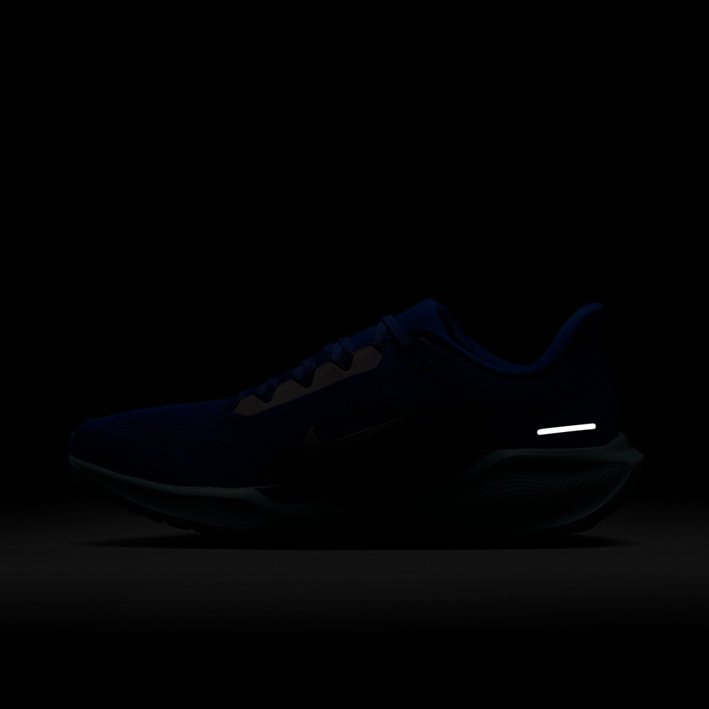 Nike Men's Pegasus 41 (400 - Race Blue/Sail-Blue Void-LT Photo Blue)
