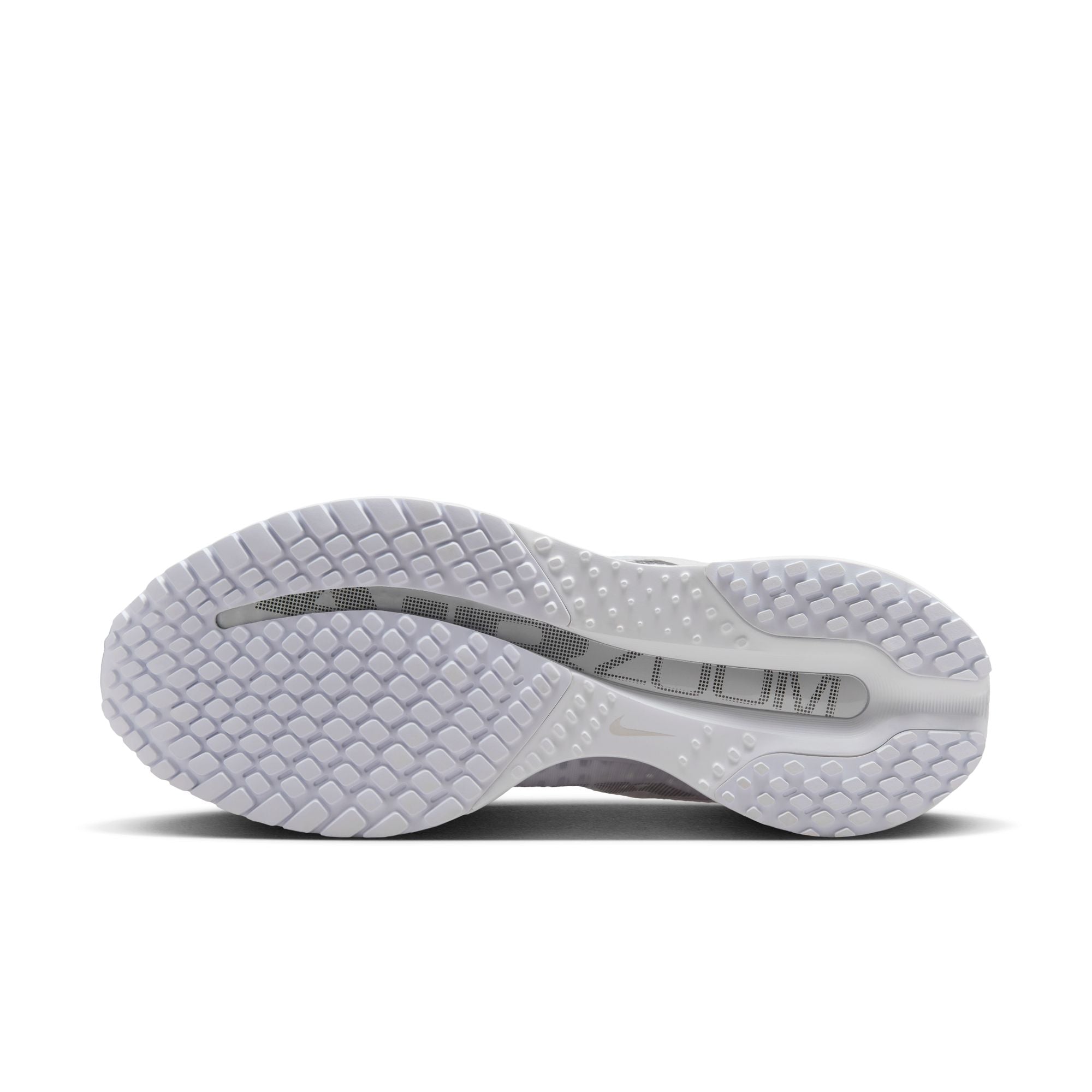 Nike Women's Pegasus Premium (102 - White/Metallic Silver-Metallic Silver)
