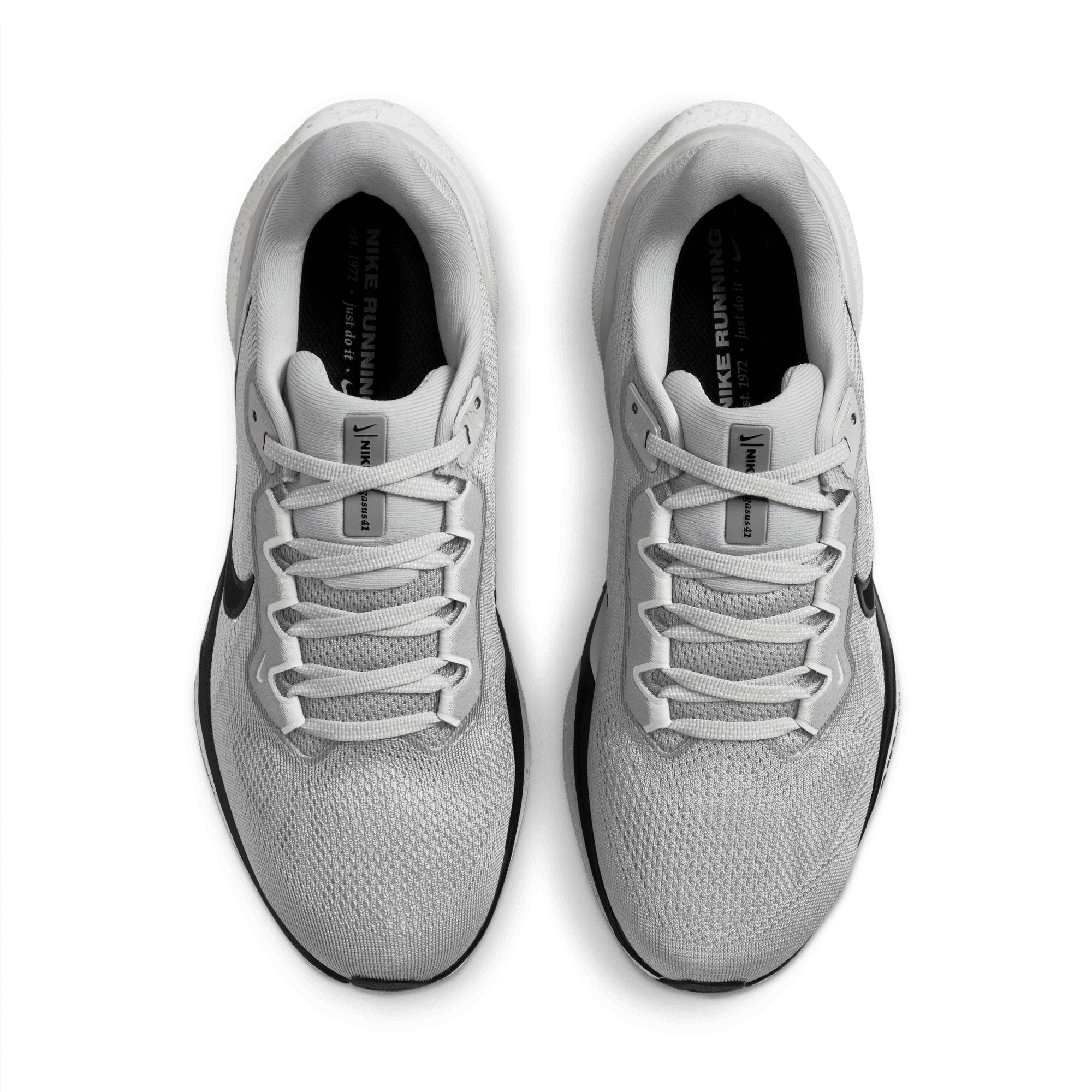 Nike Women's Pegasus 41 (077 - LT Smoke Grey/Black-Platinum Tint)