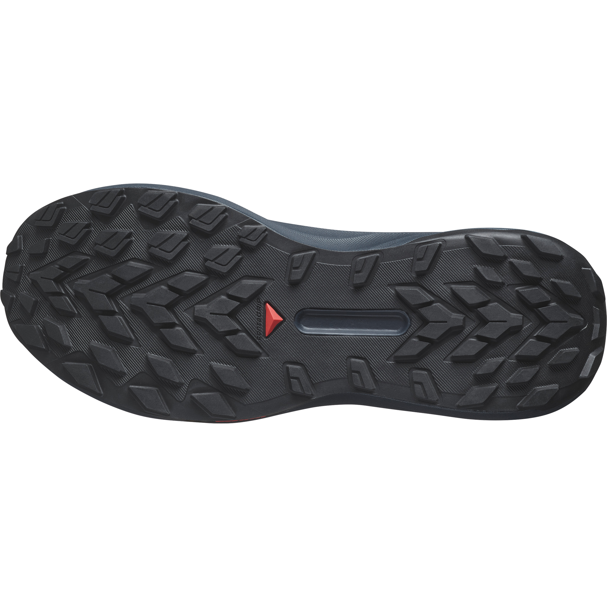 Salomon Men's Genesis (Carbon/Tahitian Tide/Quiet Shade)