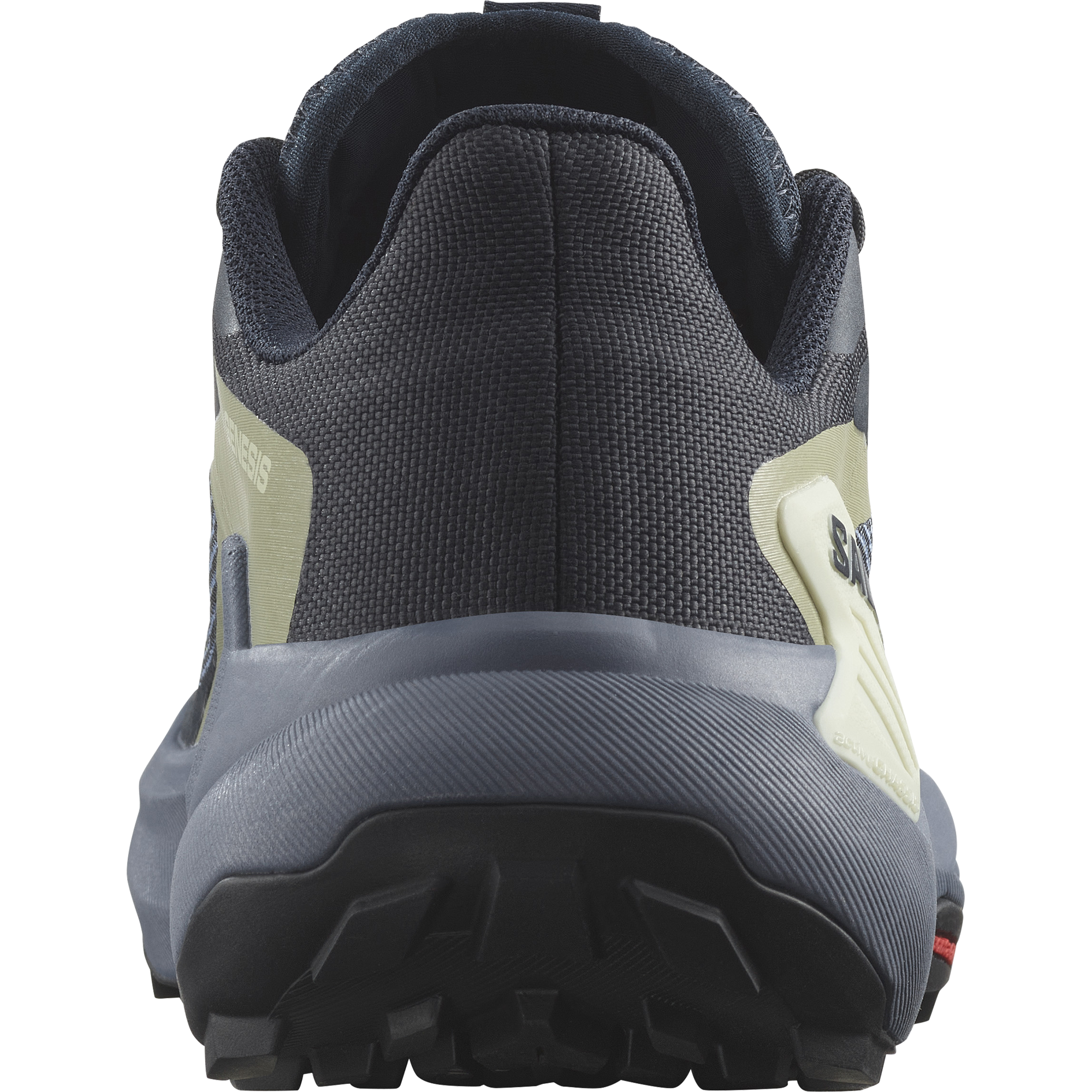 Salomon Women's Genesis (Carbon/Grisaille/Aloe Wash)