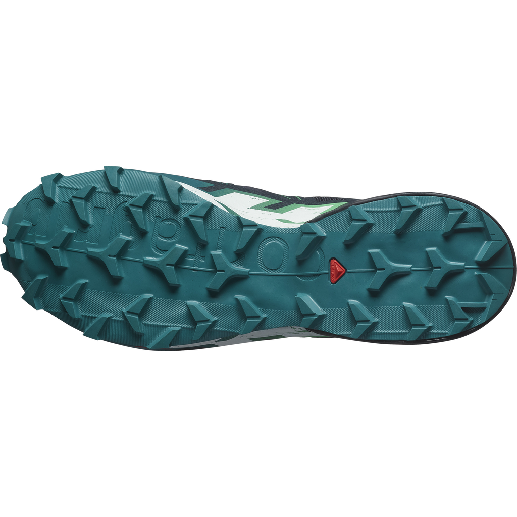 Salomon Men's Speedcross 6 (Carbon/Tahitian Tide/White)